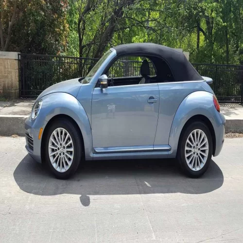 Volkswagen Automobile Model 2019  Beetle