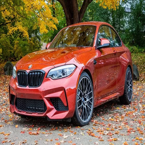 BMW Automobile Model 2019 BMW M2