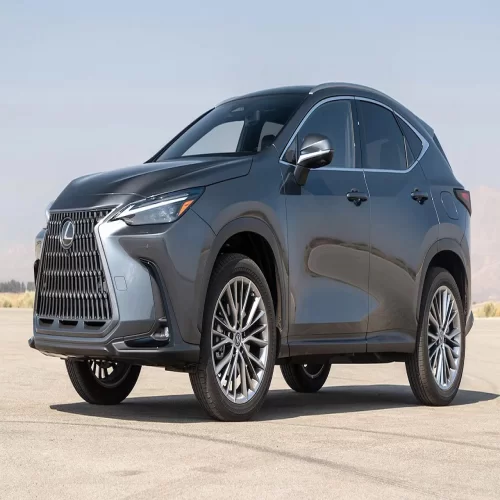 Lexus Automobile Model 2023 Lexus NX